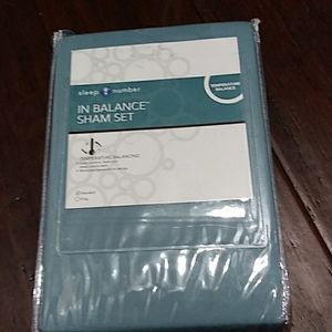 Pillow shams. 2 standard size